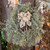 20" Round Faux Atlas Cedar Wreath