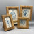 Rattan Framed Seashell Print