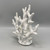 White Coral Sculpture
