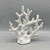 White Coral Sculpture