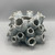 Blue Barnacle Vase