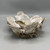 Hand Painted Plain Oyster Shell Magnolia