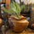 Teakwood Urn