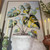 Colorful Monstera Framed Canvas