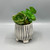 Durham Planter