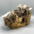 Handmade Double Oyster Shell Gold Trim Magnolia on Driftwood