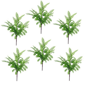 6 x 55cm Himilayan Maidenhair Fern Bush Light Green Plant