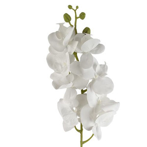 100cm Artificial Phalaenopsis Orchid White Stem