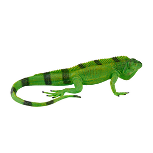 Iguana Toy Realistic Reptile Figurine