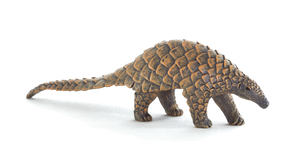 Indian Pangolin Toy Realistic Wildlife Figure