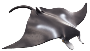 Manta Ray Toy Realistic Ocean Animal Model