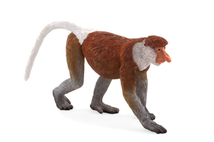 Proboscis Monkey Toy Realistic Rainforest Wildlife Model