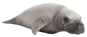 Manatee Toy Realistic Marine Mammal Figurine