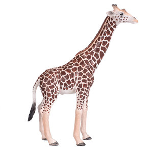 Giraffe Male Toy Realistic African Wildlife Figure 13x13x17cm