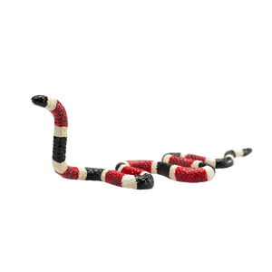 Coral Snake Toy Realistic Reptile Figurine