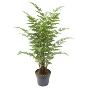 75cm Artificial Fern Plant