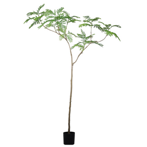 240cm Artificial Jacaranda Realistic Artificial Tree