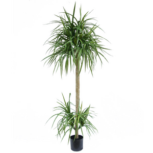 180cm Dracaena Realistic Artificial Tree