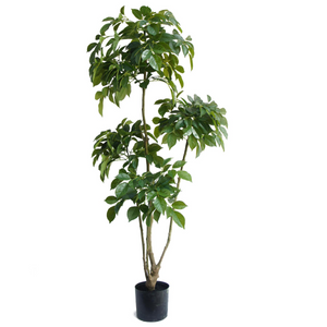 150cm Radermachera Realistic Artificial Tree