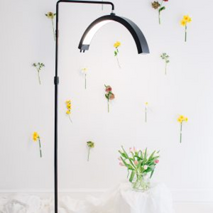 Beauty Floor Curve - Black