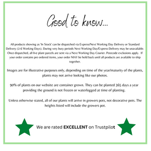 5 Shrubs Attractive to Butterflies, Bees & Other Pollinators