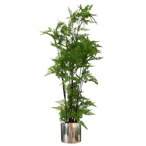 150cm Artificial Natural Moss Base Fern Foliage Plant with Silver Metal Planter