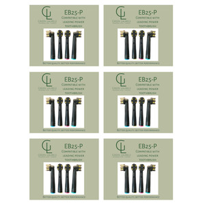 Recyclable Oral b head replacement toothbrush - 6 packs