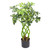 70cm Artificial Plant Bonsai Bush Twisted Stem Golden Capella