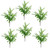 6 x 55cm Himilayan Maidenhair Fern Bush Light Green Plant