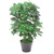 55cm Dark Green Artificial Schefflera Arboricola: Realistic, Safe, High-Quality