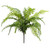 High Quality 50cm Fronded Fern Plant - Artificial, Realistic, Low Maintenance