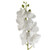 100cm Artificial Phalaenopsis Orchid White Stem