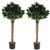 120cm Pair of Bay Tree Laurel UV Resistant Outdoor Topiary