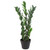 75cm Artificial Zanzibar Green Gem Zamioculcas Succulent Indoor Plant