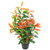 80cm Artificial Red and Green Ficus Plant