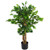 90cm Artificial Evergreen Ficus Tree