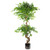 150cm Twisted Trunk Artificial Japanese Fruticosa Ficus Tree Rainbow Planter