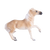 Brumby Mare Horse Toy Realistic Australian Equestrian Model
