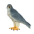 Peregrine Falcon Toy Realistic Bird of Prey Model