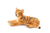 Tiger Cub Laying Down Toy Realistic Big Cat Model