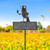 53" METAL BIRD WELCOME GARDEN STAKE
