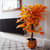 Botanik 125cm Orange Maple Acer Extra Large Artificial Tree