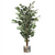 130cm Variegated White/Green Bushy Ficus Tree Silver Metal Planter