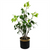 60cm Artificial Banyan Bonsai Ficus Tree