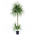 180cm Dracaena Realistic Artificial Tree
