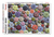 Sea urchins 1000 Piece Jigsaw Puzzle