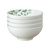 Denby Greenhouse Cereal Bowl Set Of 4