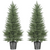 HOMCOM Artificial Cypress Trees with PE Leaves for Indoor Outdoor - 50W x 135H cm