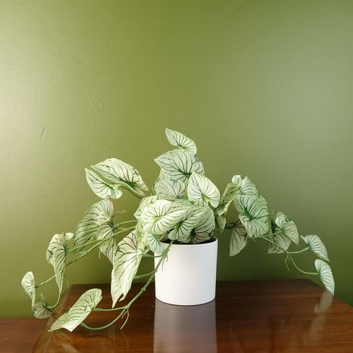 30cm Artificial Trailing Plant Realistic Variegated Potted Alocasia