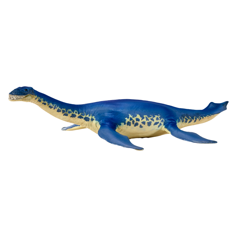 Cryptoclidus Dinosaur Toy Prehistoric Marine Reptile